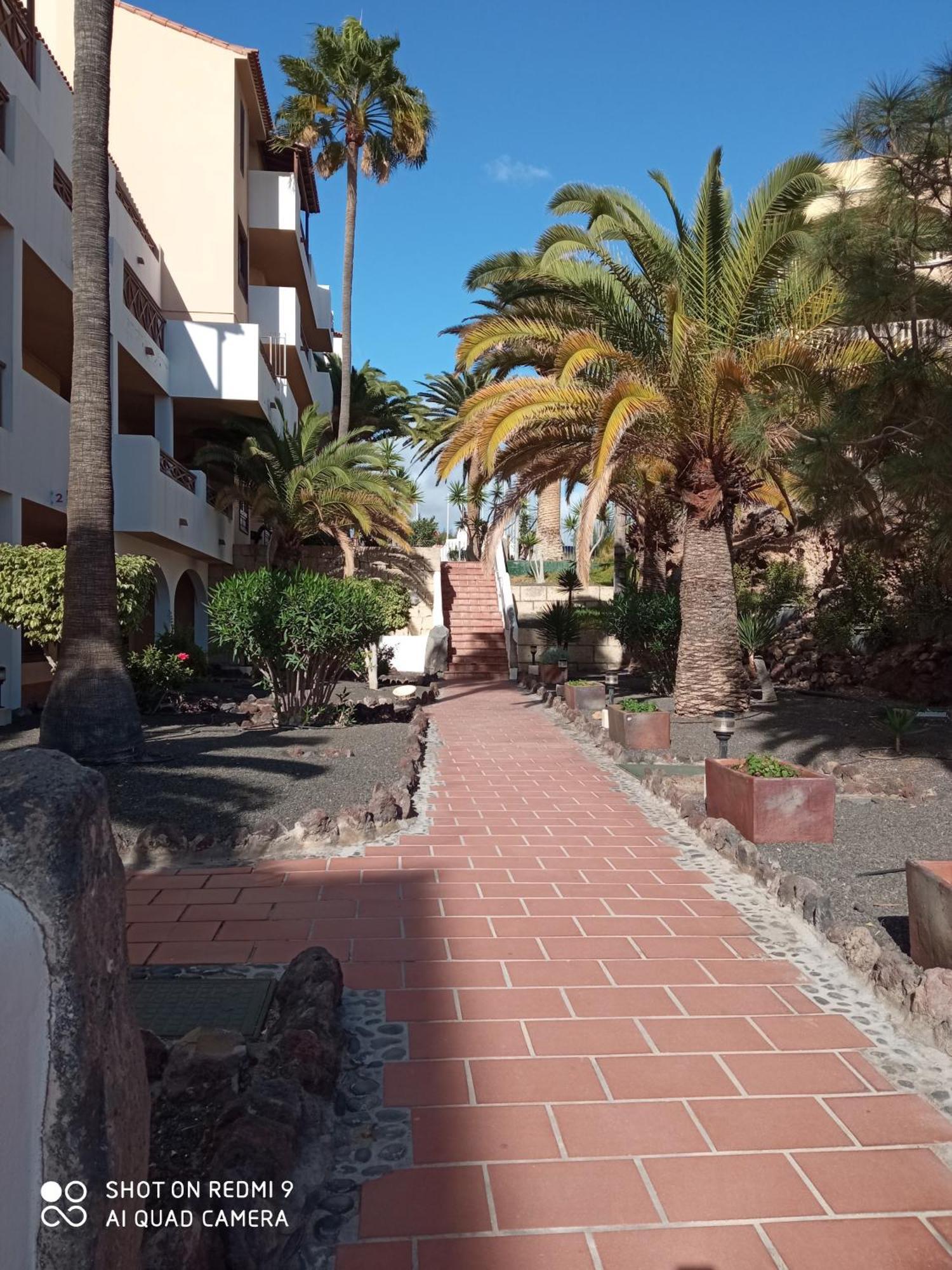 Las Meninas Tenerife San Miguel de Abona Szoba fotó